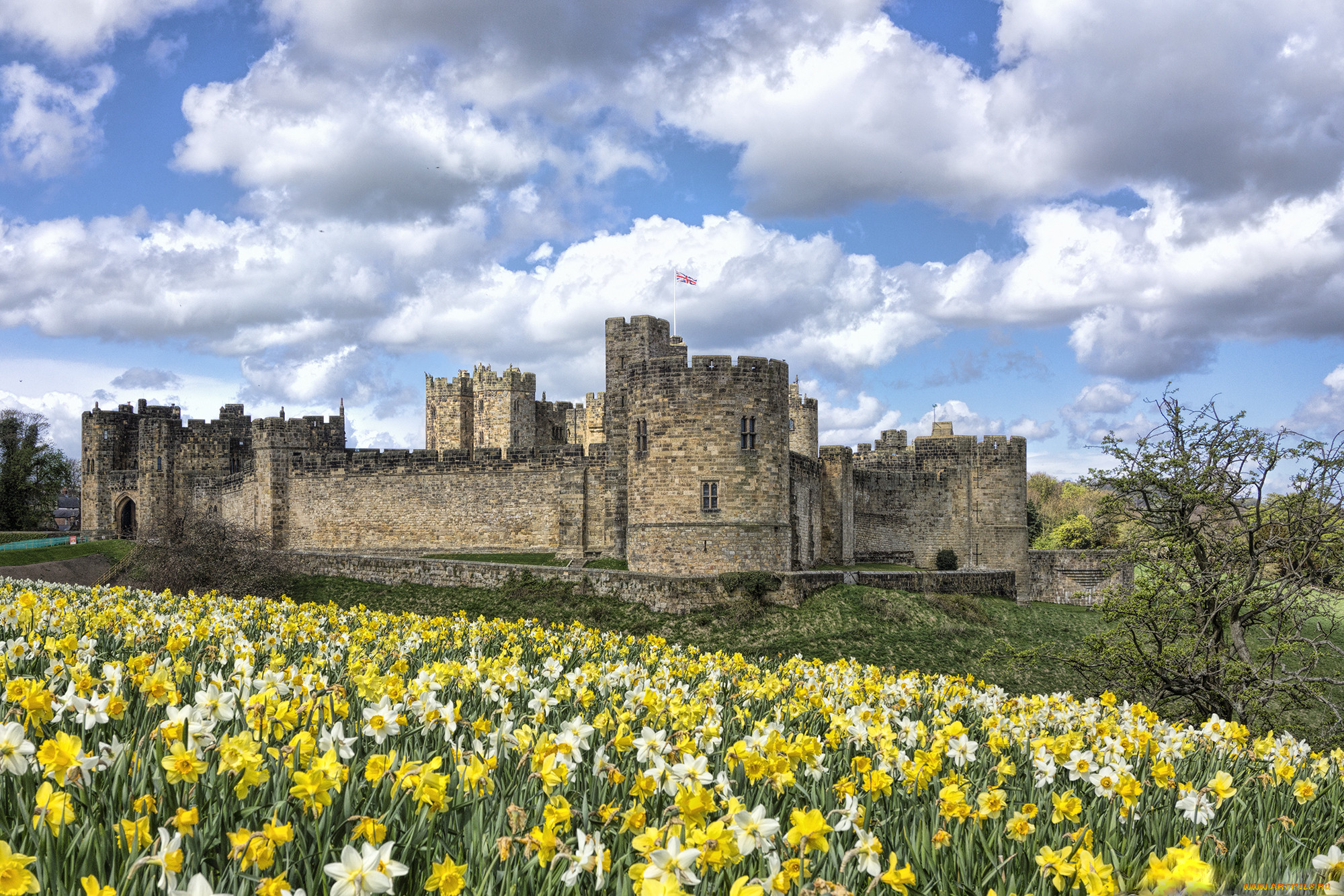 alnwick castle, , - ,  ,  , , , 